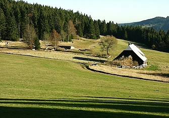 Bauernhof-am-Wald_AS_20226