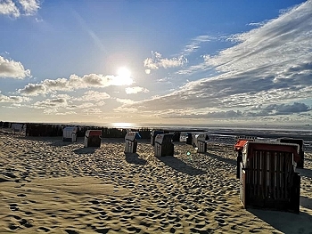 Urlaub an der Ostsee mit Hund
