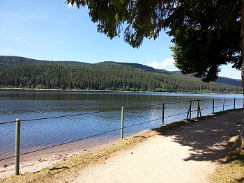 Schluchsee im Schwarzwald